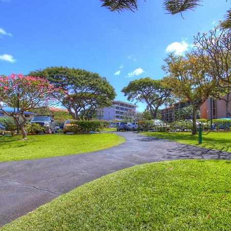 Maui Vista 3101 Apartamento Kihei Exterior foto