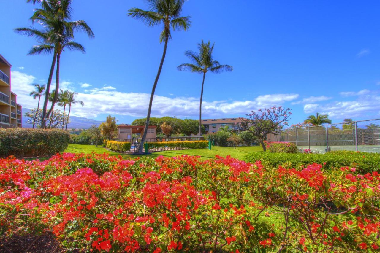 Maui Vista 3101 Apartamento Kihei Exterior foto